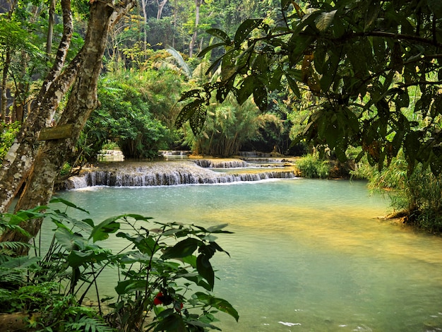 La piscina nella giungla, Laos