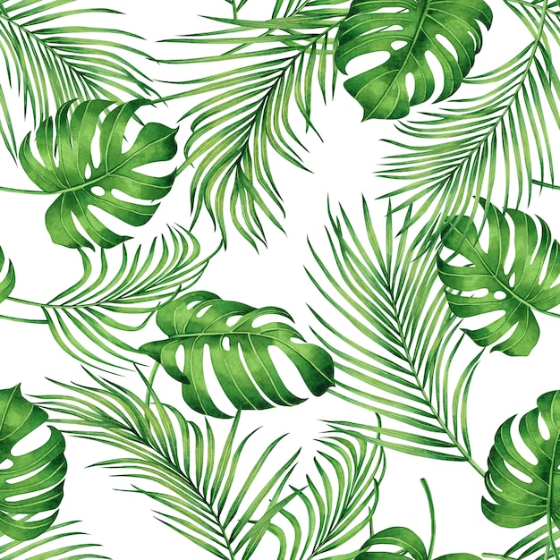 La pittura ad acquerello verde palma tropicale lascia il fondo senza cuciture.