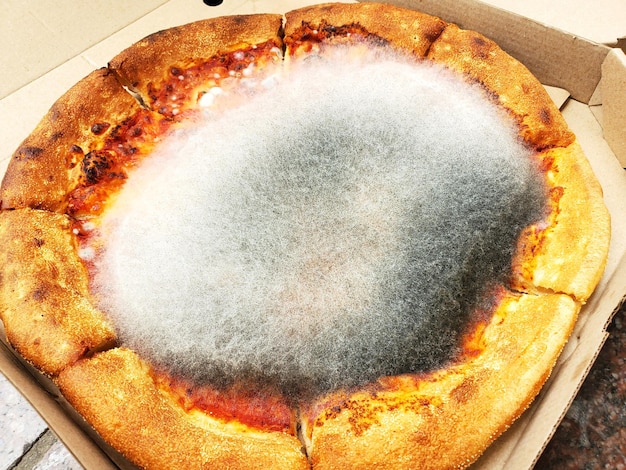 La pizza di cui ti sei dimenticato per una settimana e si è ammuffita