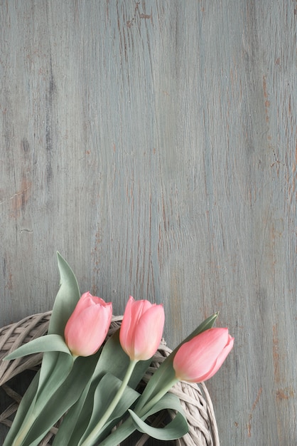 La primavera con i tulipani rosa in wattle suona su fondo di legno strutturato grigio, testo