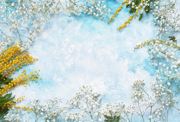 La primavera fiorisce il fondo con la mimosa e il gypsophila