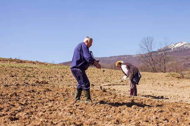 La primavera lavora in una fattoria La famiglia sta lavorando sulla loro terra piantando patate Concetto di fattoria di famiglia