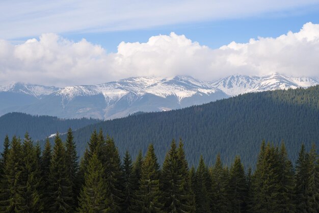 La primavera nelle montagne