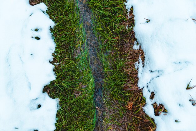 La primavera sta arrivando, un piccolo ruscello con l'erba verde passa attraverso la neve bianca