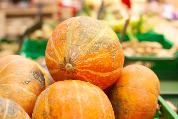 La raccolta della zucca è venduta nel negozio