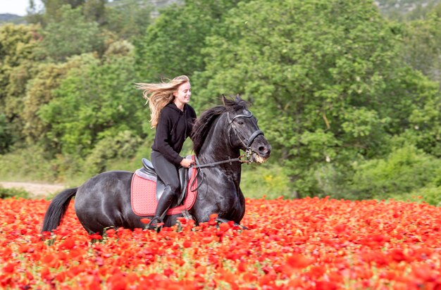 La ragazza a cavallo sta allenando il suo cavallo nero