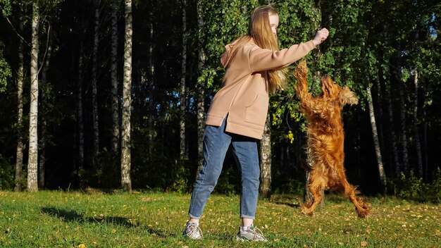 La ragazza allegra imita il lancio del bastone e ride del cane allo zenzero che corre sul prato verde contro le betulle in autunno