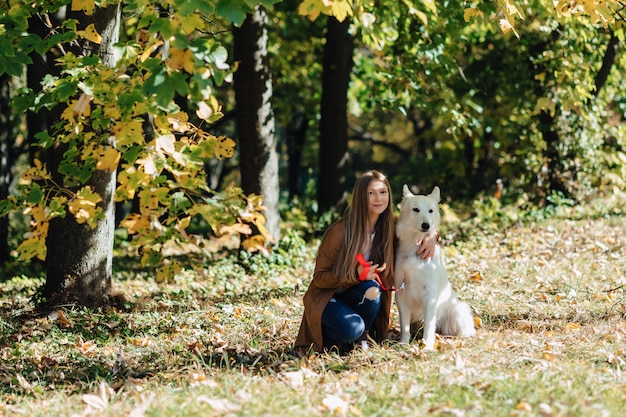 La ragazza cammina al parco di autunno con il giovane cane da pastore svizzero bianco