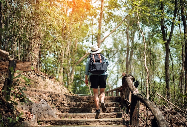 La ragazza cammina nella foresta