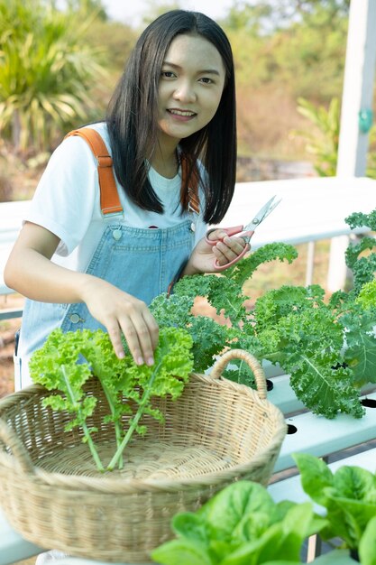 La ragazza che usando le forbici ha tagliato il cavolo verde fresco, la verdura idroponica organica, il lavoro domestico.