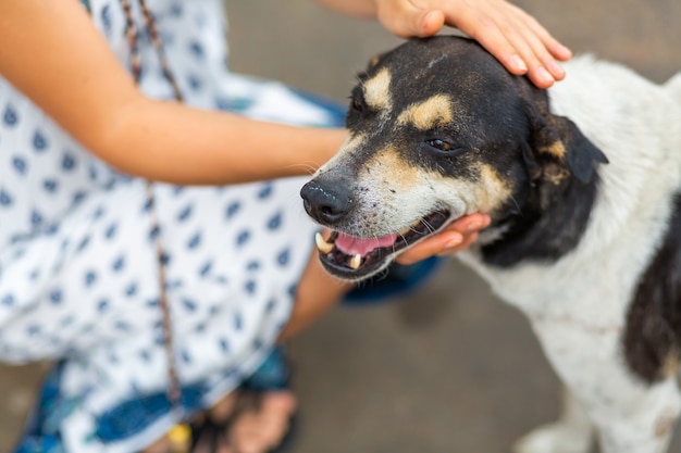 La ragazza comunica con un cane randagio per strada. Accarezza il cane.