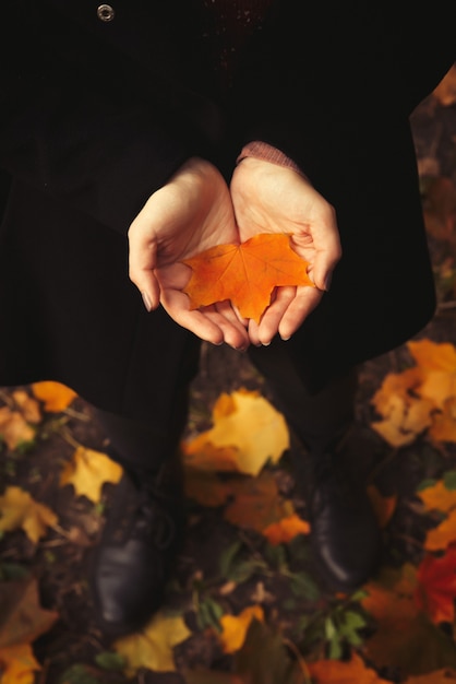 La ragazza con le mani aperte tiene in mano una foglia gialla nella foresta. Sfondo autunnale.