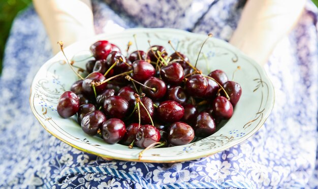 La ragazza è seduta sull'erba in abito vintage blu. La donna sta tenendo le ciliegie. Piatto di frutta estiva rustica. Concetto di stile di vita sano cibo ecologico vegetariano.