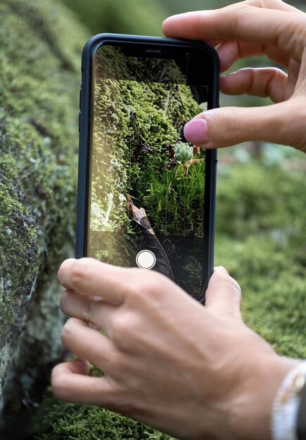 La ragazza fotografa i fiori di muschio della natura nella foresta su un primo piano del telefono cellulare Il concetto di hobby di stile di vita