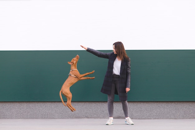 La ragazza gioca con il cane