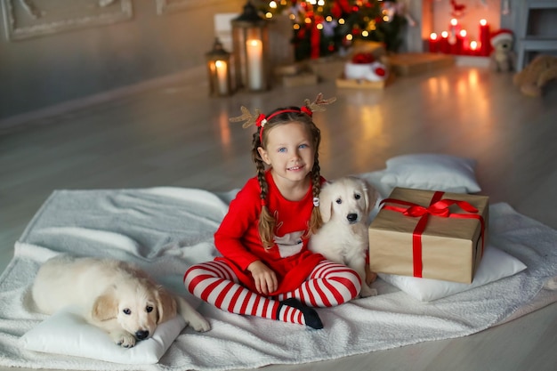 La ragazza ha ricevuto un regalo di Natale sotto forma di un piccolo cucciolo di labrador