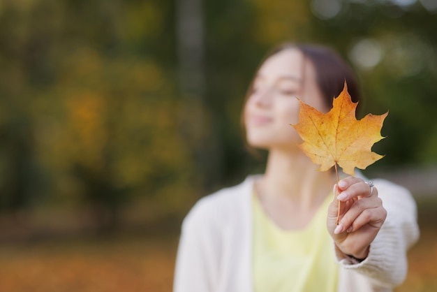 La ragazza in abiti gialli nel parco autunnale si rallegra in autunno tenendo calde le foglie gialle nelle sue mani