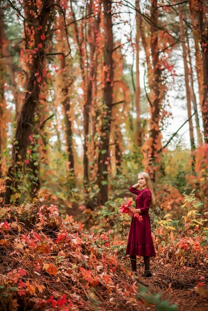 La ragazza in un vestito bordeaux cammina nella foresta autunnale. Bellissimo bosco con alti alberi colorati.