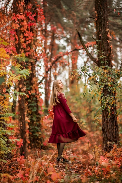 La ragazza in un vestito bordeaux cammina nella foresta autunnale. Un bosco favoloso con un vigneto selvaggio..