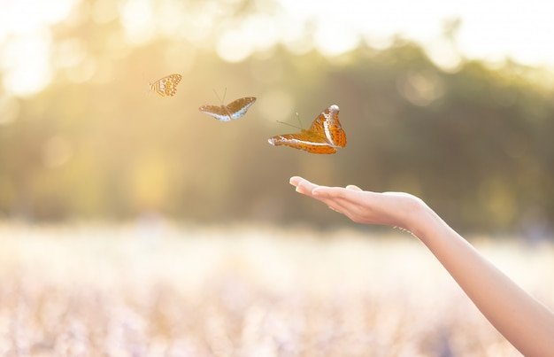 La ragazza libera la farfalla. Concetto di libertà