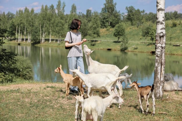 La ragazza nutre e gioca con le capre in una fattoria