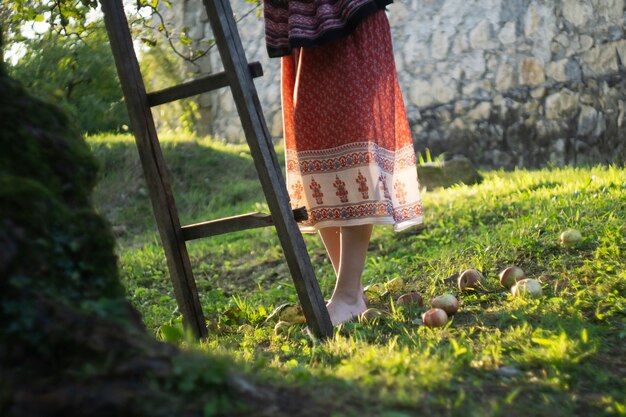 La ragazza raccoglie le mele da un albero in un giardino di autunno al tramonto