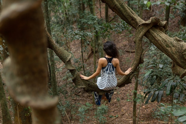 La ragazza si siede su un enorme ramo di un albero di liana nella giungla.