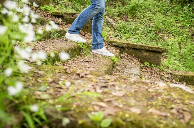 La ragazza sta camminando giù per i vecchi gradini ricoperti di muschio ed erba in un parco forestale