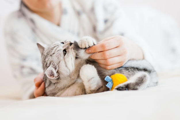 La ragazza sta giocando con un gatto