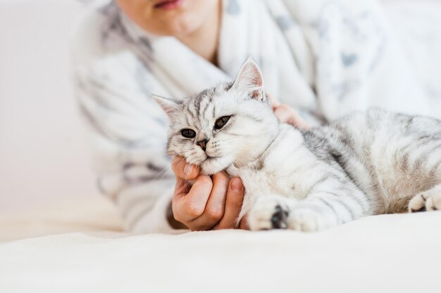 La ragazza sta giocando con un gatto