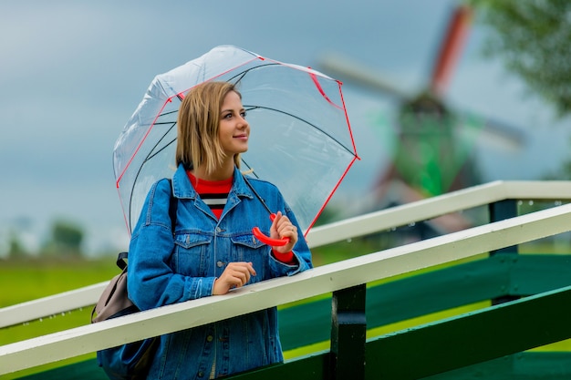 La ragazza sta sul ponte con i mulini olandesi