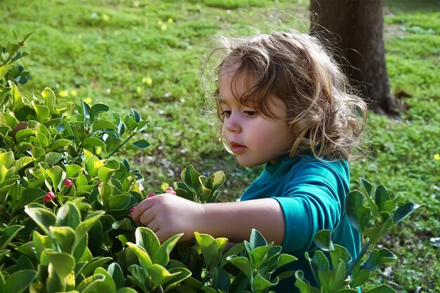 La ragazza strappa i fiori dai cespugli