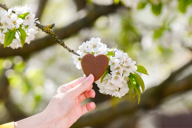 La ragazza tiene il cuore tra le mani. il cuore in mano. Concetto di donazione di salute, amore, organo, donatore, speranza e cardiologia. Carta di San Valentino. Dare il concetto di amore con le mani che tengono il cuore. Amore