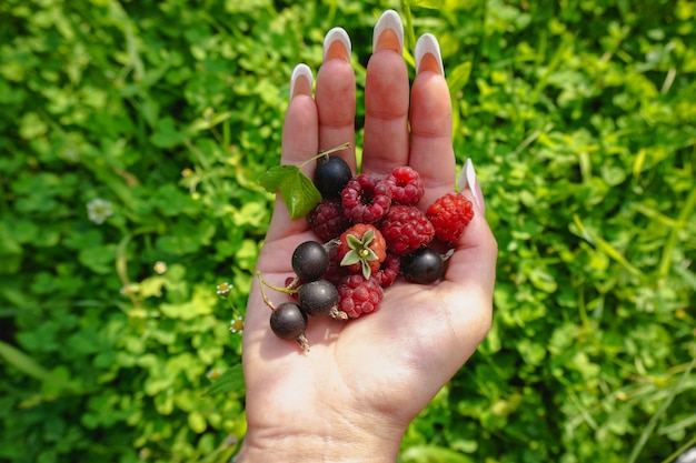 La ragazza tiene in mano bacche, ribes e lamponi, su uno sfondo verde.