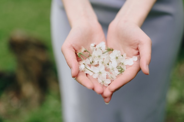 La ragazza tiene in mano petali di ciliegio bianco da vicino 1