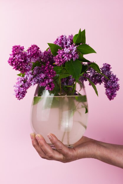 La ragazza tiene un mazzo di lillà in un vaso su una parete rosa pastello