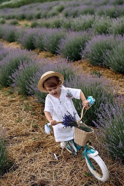 La ragazza va in bicicletta e cavalca su un campo di lavanda.