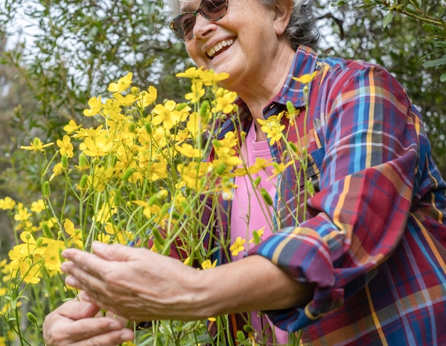 La risata della donna anziana abbraccia un gruppo di fiori gialli in piena fioritura nei boschi.