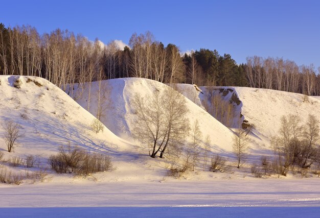 La riva del fiume Inya in inverno Una betulla nuda ai piedi di un alto pendio con alberi