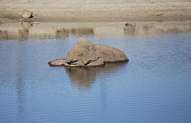 La riva del serbatoio con la pietra del livello dell&#39;acqua