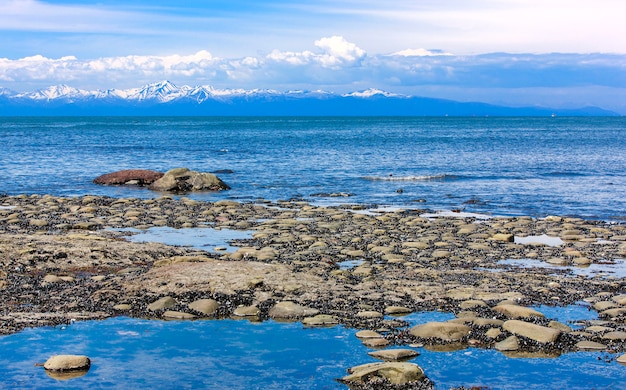 La riva dell'Oceano Pacifico con la bassa marea,