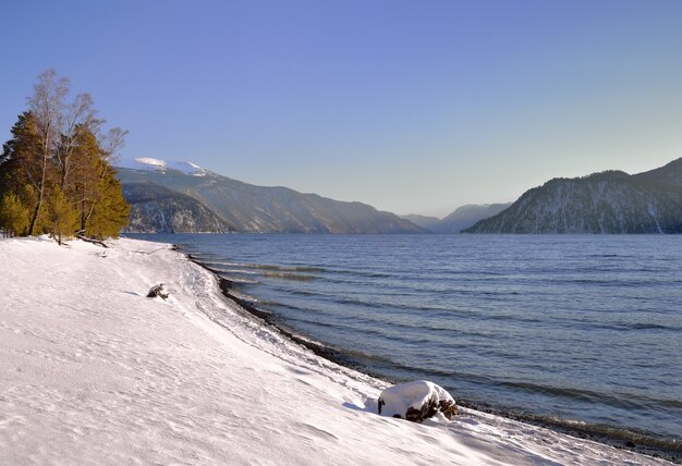 la riva tortuosa del lago teletskoye che non gela d'inverno