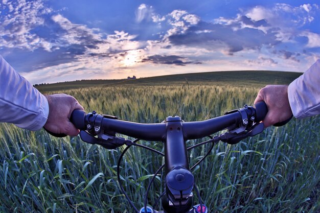 La ruota del primo piano del ciclista sullo sfondo di un campo di grano alla luce del sole