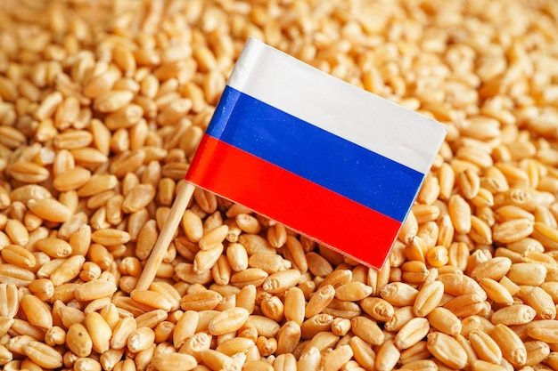 La Russia sull'esportazione del commercio di grano e sul concetto di economia