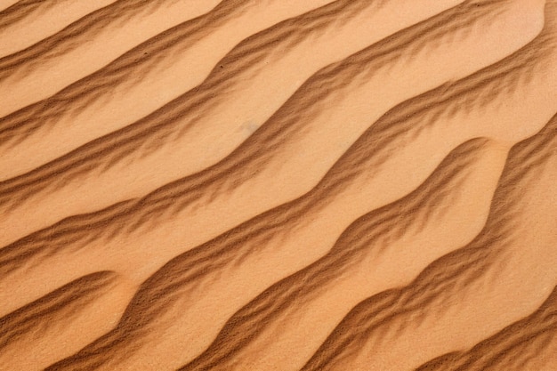 La sabbia è marrone.