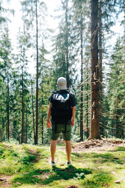 La schiena di un giovane turista maschio in abiti casual e con uno zaino si trova nel bosco e guarda in alto