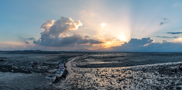 La secca al tramonto, luce gialla e terra nera