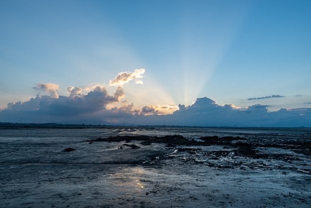 La secca al tramonto, luce gialla e terra nera