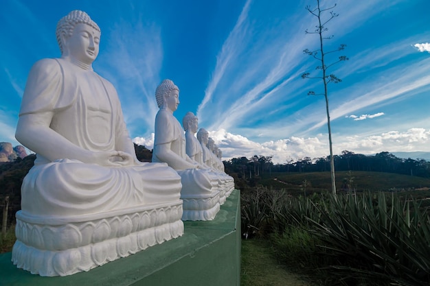 La seconda statua di Buddha più grande del mondo Situata a Ibiracu, nello stato di Espirito Santo, in Brasile, luogo turistico