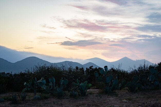 La sera del tramonto in montagna, l'orizzonte colorato, le nuvole, la luna.